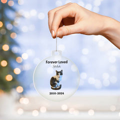 Personalized Acrylic Ornament Plaque of Your Beloved Pet